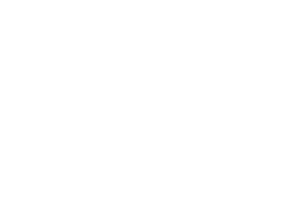 shane-logo-0001.png
