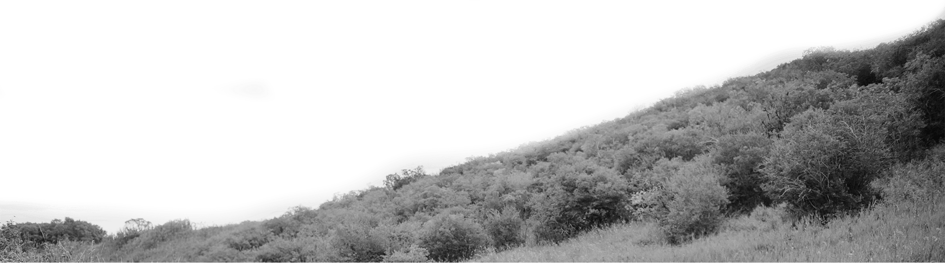 photo of a hillside in Ambleton